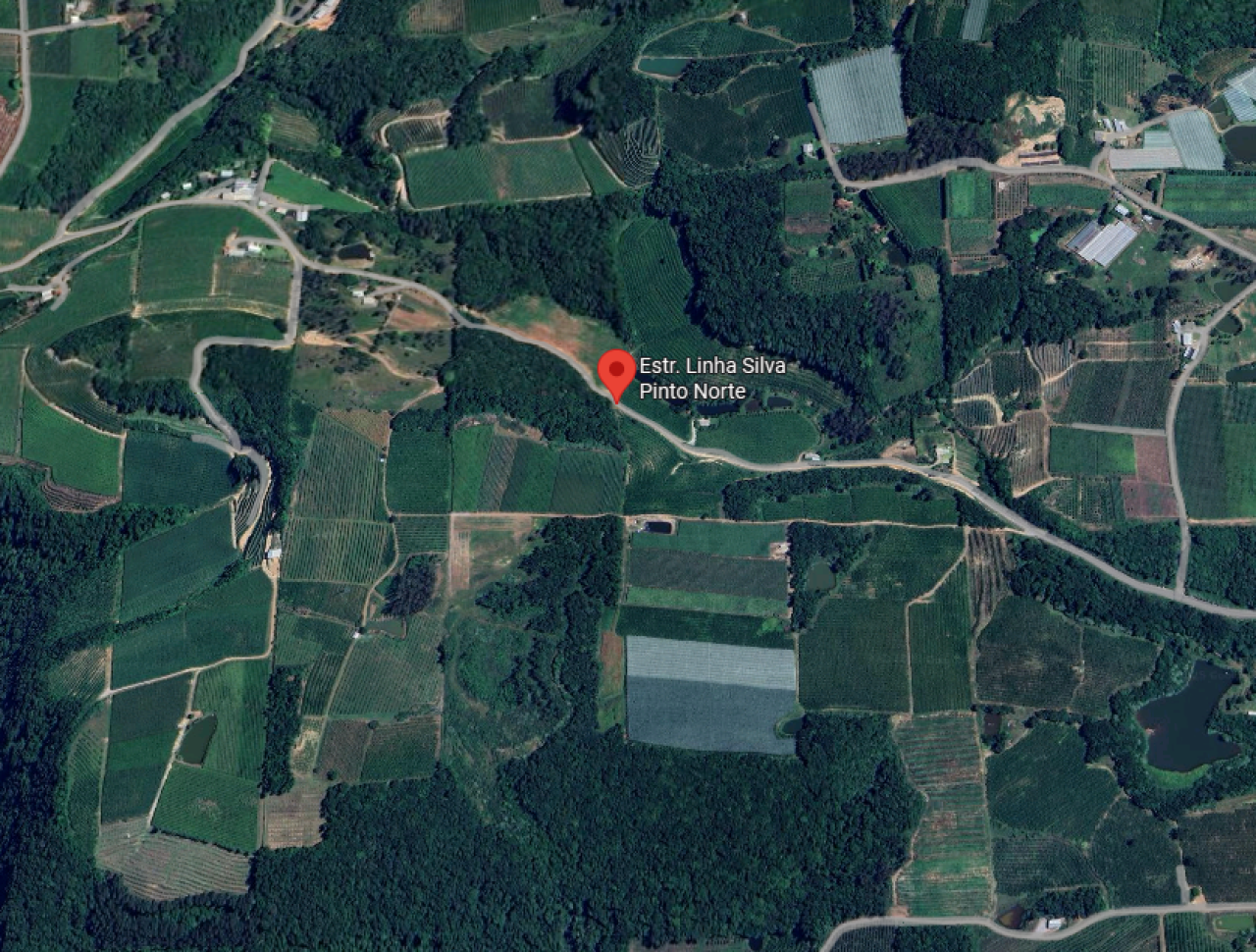 LOTE RURAL N° 5 DA LINHA BRASIL COM ÁREA DE 121.000,00m² CASA DE MADEIRA E PEQUENO PARREIRAL EM PINTO BANDEIRA