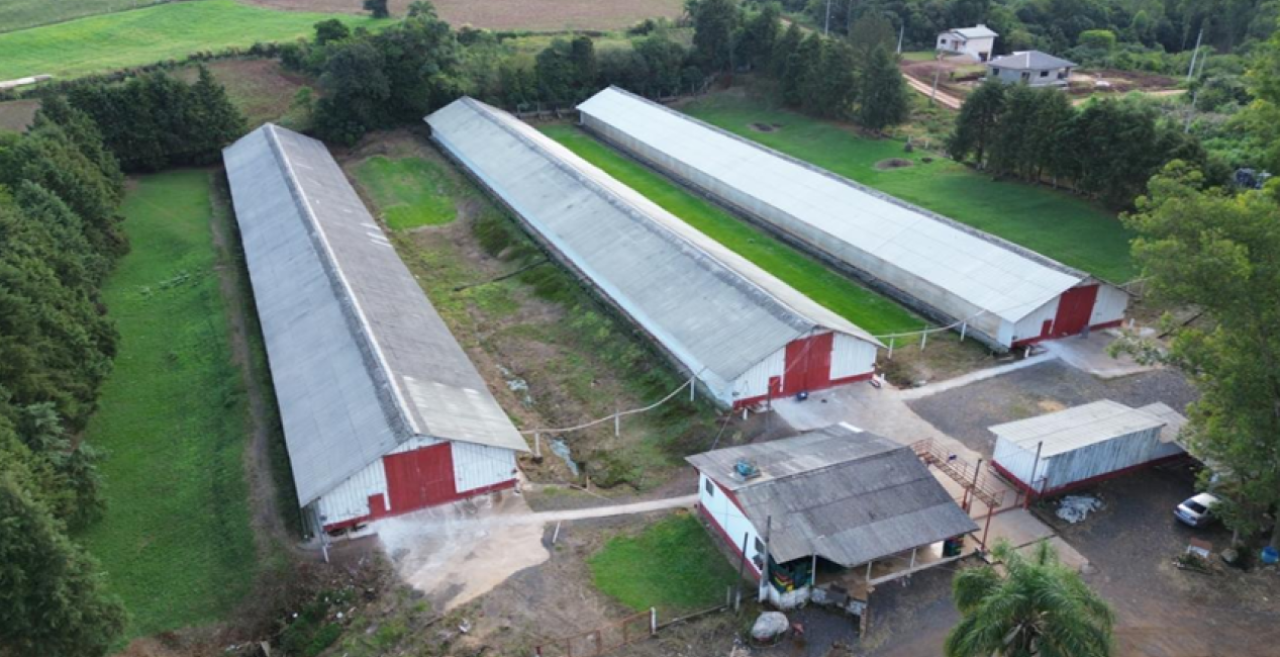 ÁREA DE 17.000M² COM GALPÕES AVIÁRIOS (DENTRO DE ÁREA MAIOR DE 37.037,22M²) EM MONTENEGRO/RS